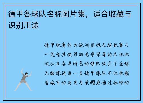 德甲各球队名称图片集，适合收藏与识别用途